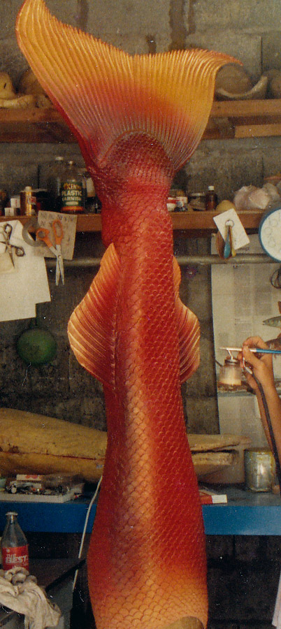 tail of mermaid in Dyesebel